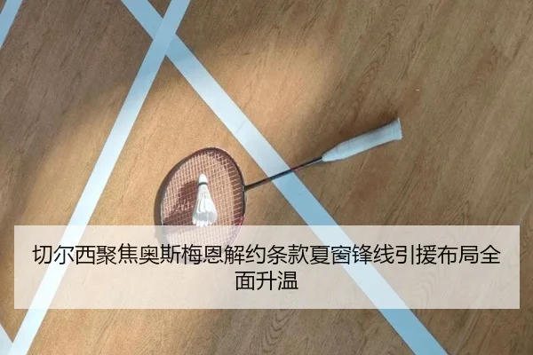 切尔西聚焦奥斯梅恩解约条款夏窗锋线引援布局全面升温